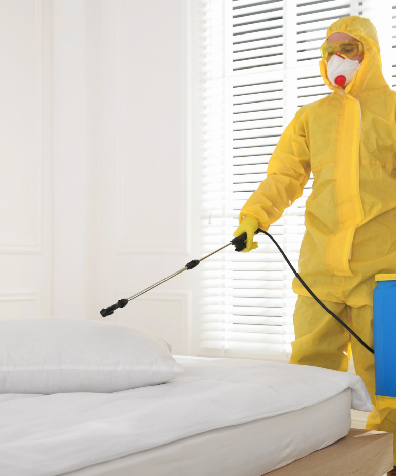 Professional Pest Control Team in Kensington Gardens